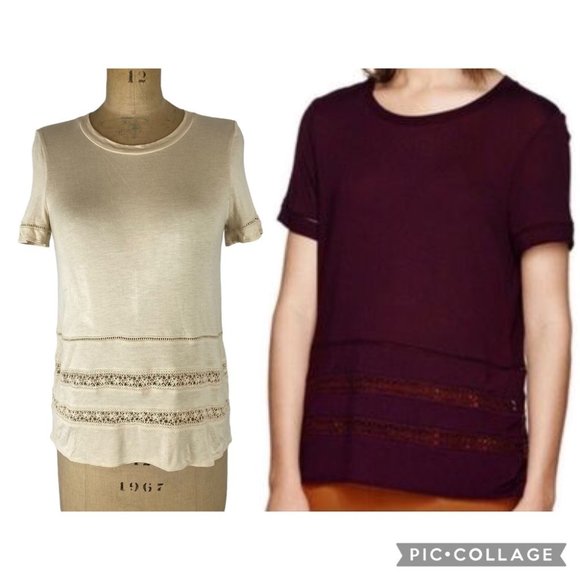 Wilfred (Aritzia) Cream Reve Crochet Detail T-Shirt Size XS - Picture 1 of 10